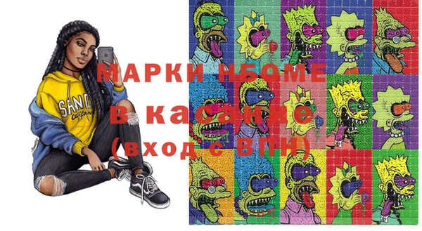 шишки Бронницы